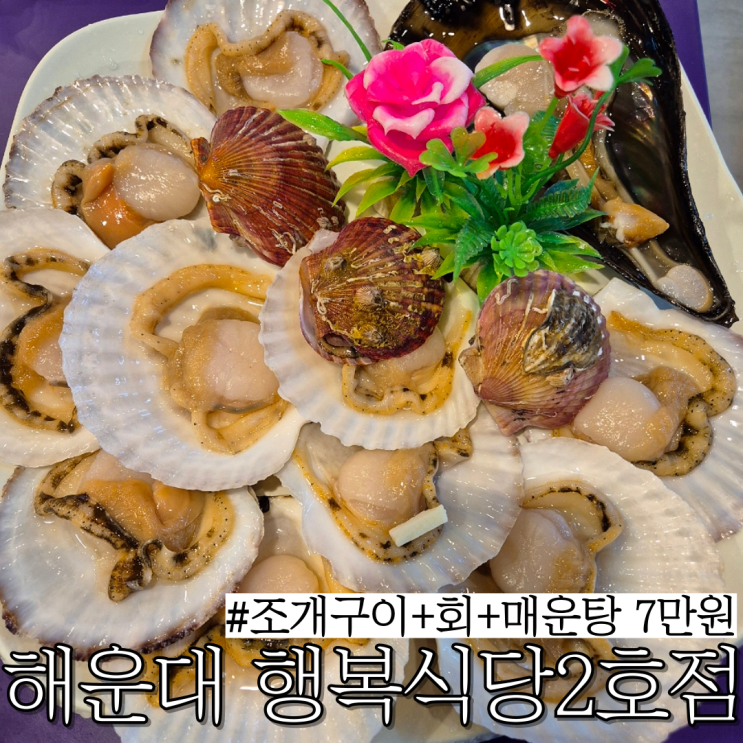  해운대 조개구이 맛집: 조개구이,회,매운탕,치즈리필을 7만원으로 즐길 수 있는 "행복식당2호점 본점"