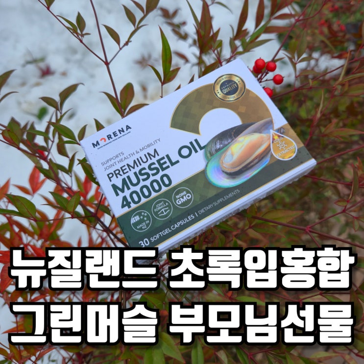  뉴질랜드 초록입홍합 오일 그린머슬 부모님선물