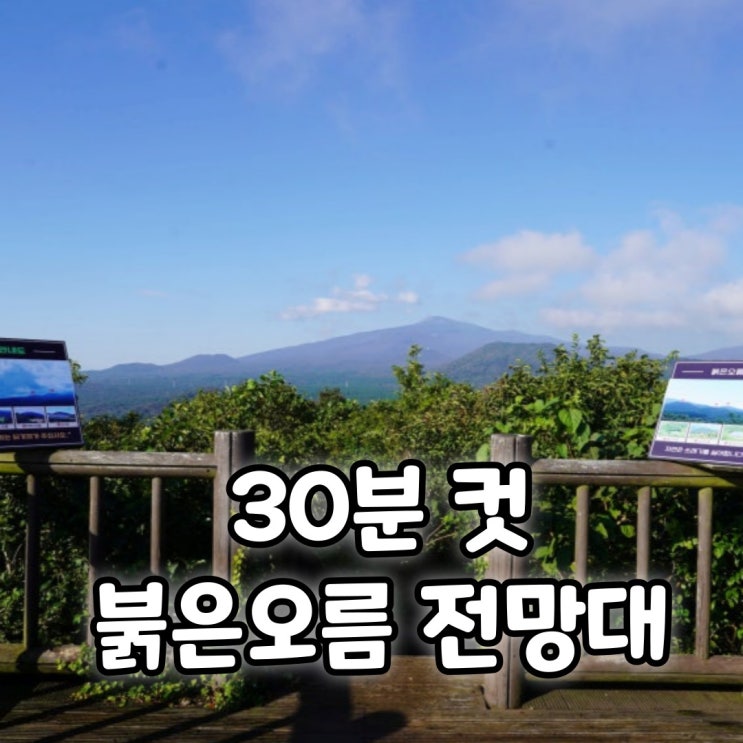  정상까지 30분! 제주 붉은오름 정상전망대 뻥뷰
