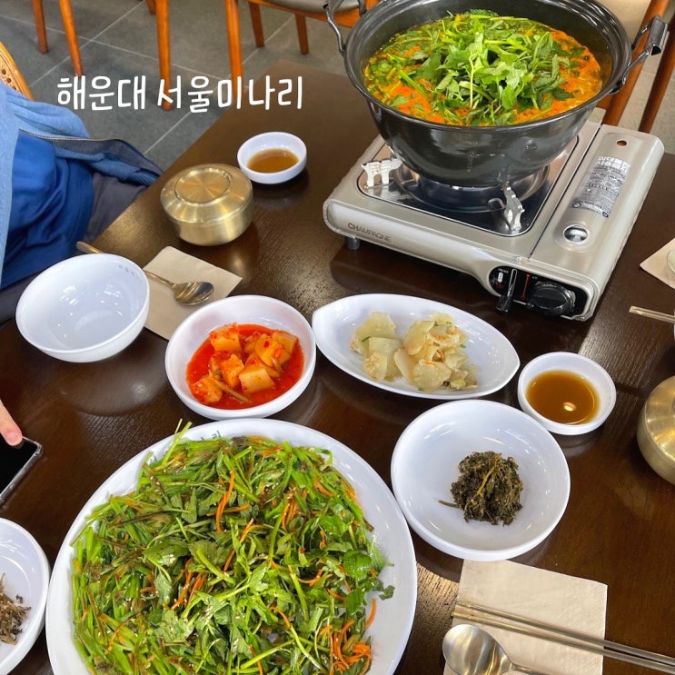  해운대 서울미나리 맛집 시원한 알곤이 전골해장과 미나리전 추천