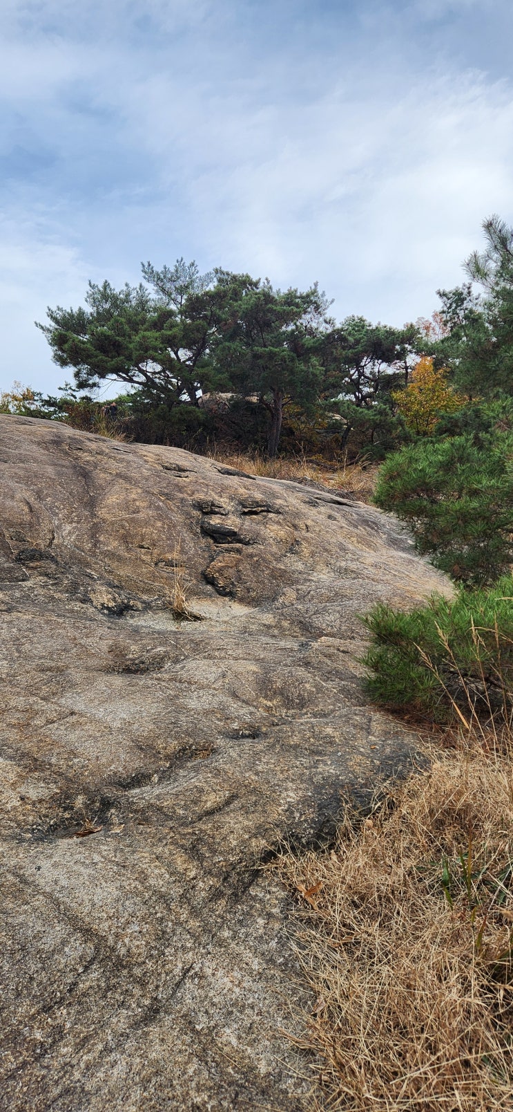 <b>최원태</b> <b>삼성</b>이면 박병호가 보상선수?