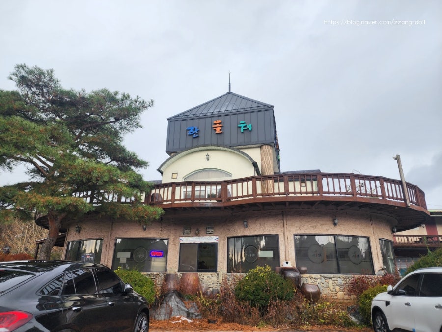 한올채 사진 4