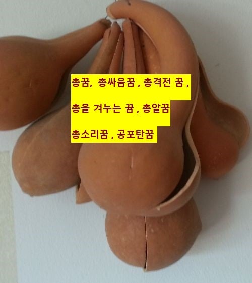 총꿈 총싸움 총알꿈 총소리 공포탄 총격전 총를 겨누는 꿈해몽 풀이
