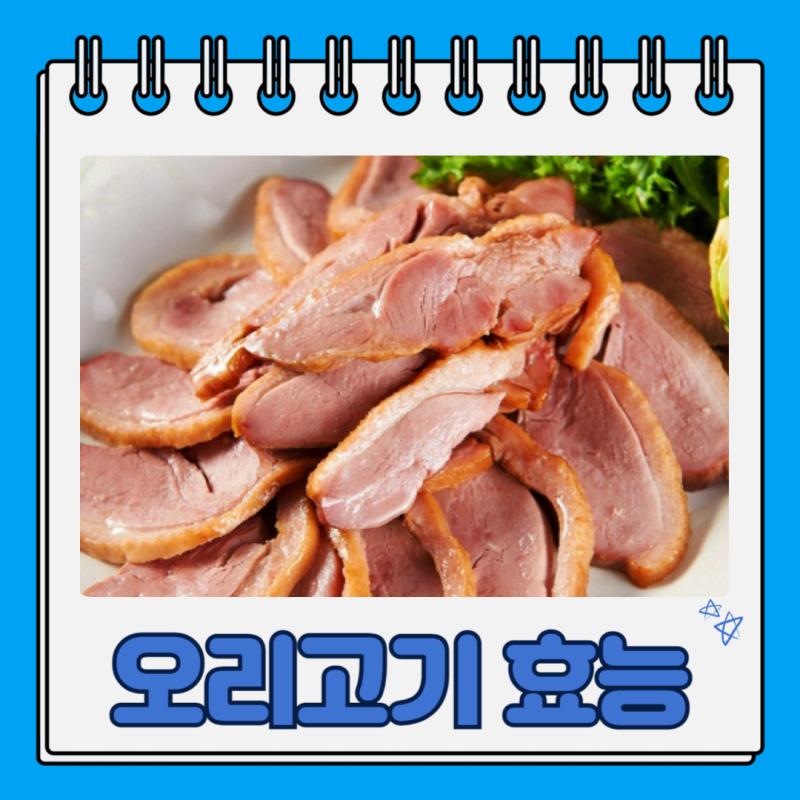 오리고기 효능 부작용 영양성분 칼로리 건강하게 먹는 법