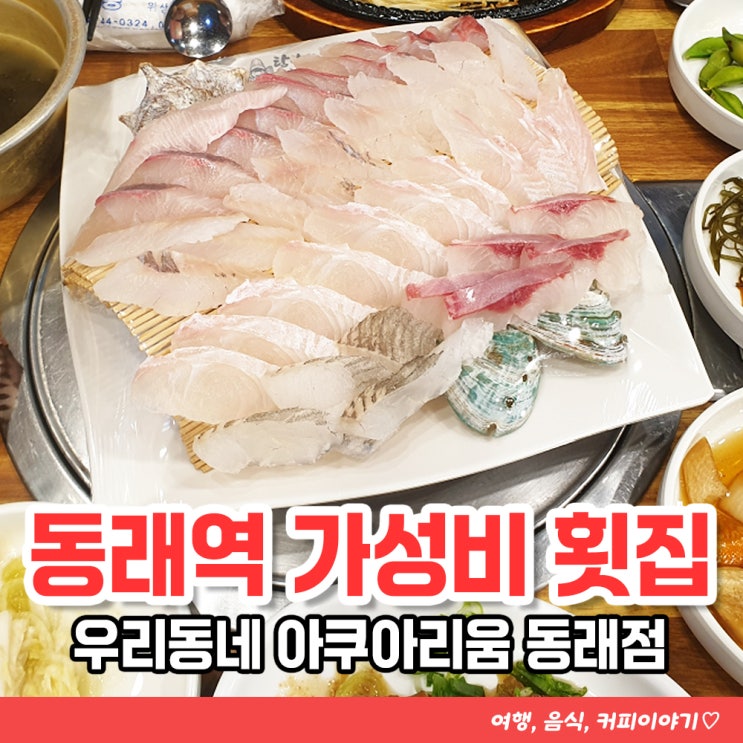  동래역 횟집 추천 우리동네 아쿠아리움, 술취한오징어 산낙지숯불구이 솔직후기