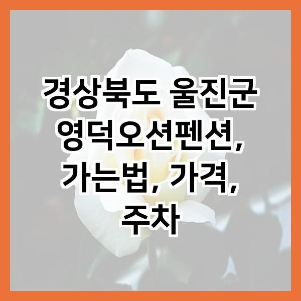 사진 3