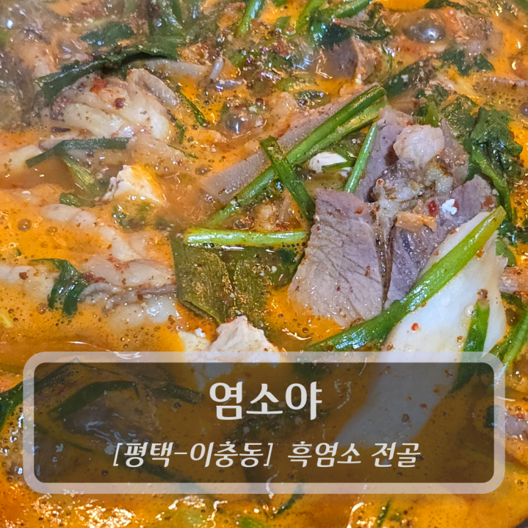  [평택-이충동, 흑염소전골] 염소야 - 평택 흑염소 맛집