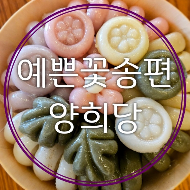  대전 떡집 양희당 수제떡공방 꽃송편이 너무 예뻐요