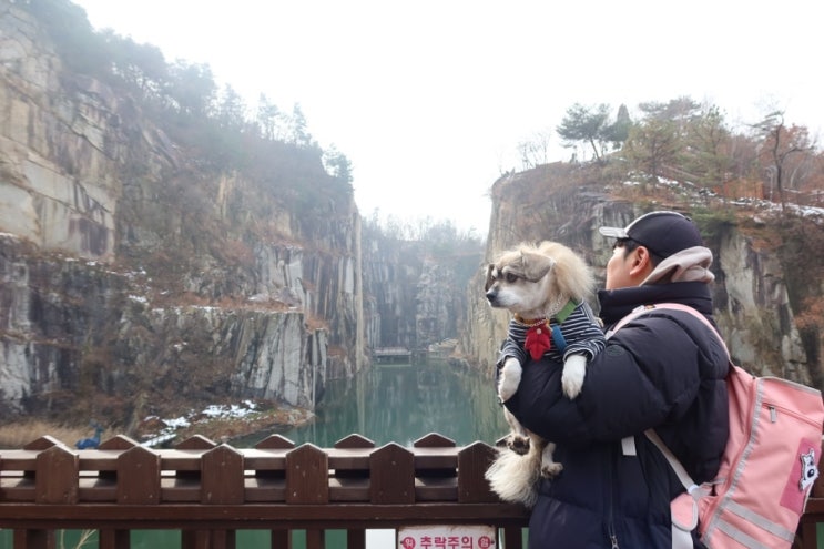  포천 아트밸리 강아지와 모노레일 이용하려면 필독 입장료