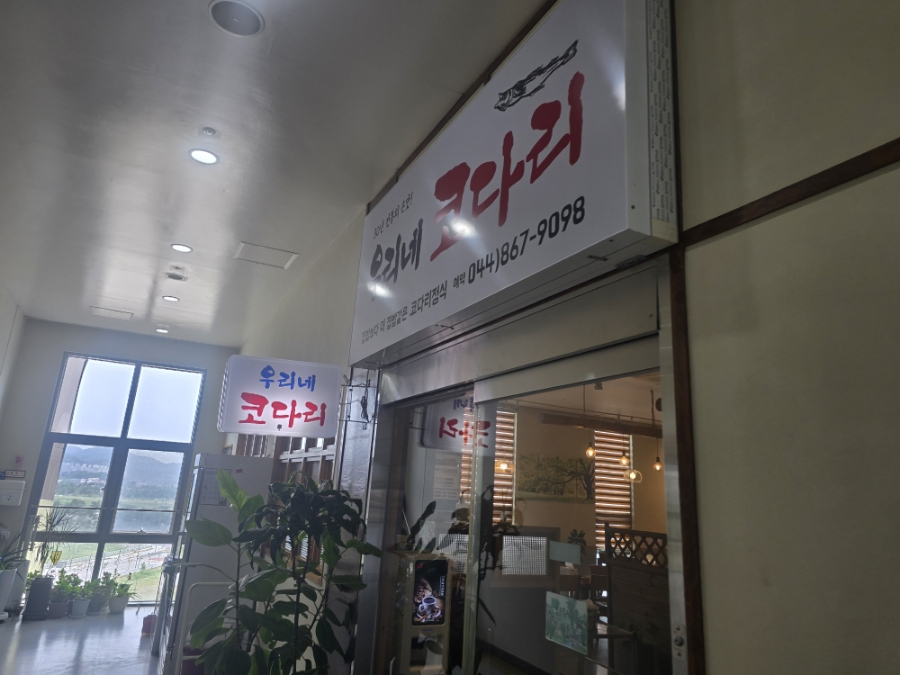 우리네코다리 사진 1