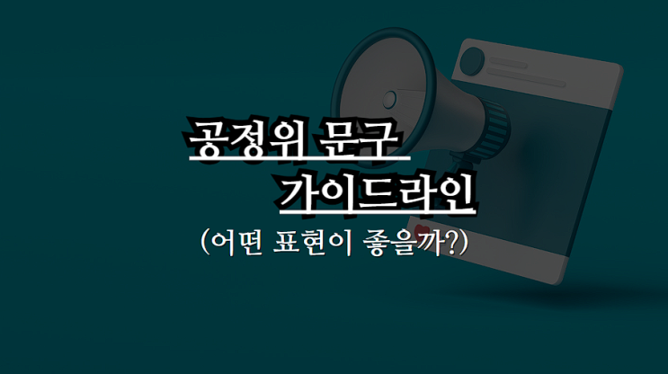  블로그 공정위 문구 시행 심사지침 가이드라인