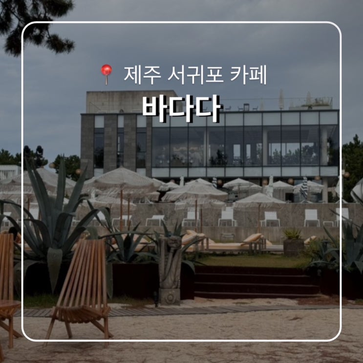  제주 서귀포 수영장카페 바다다 비추천 후기