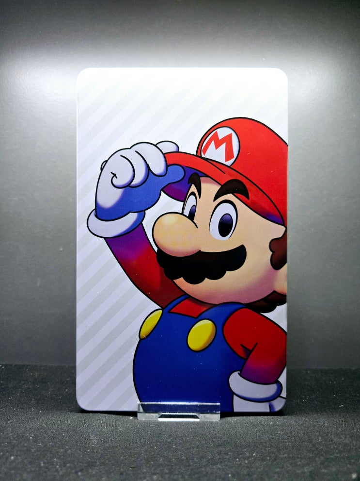  마리오&루이지 RPG 브라더십! (Mario & Luigi: Brothership Steelbook)(EU)