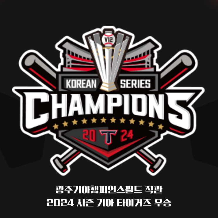  야구 금단 현상! 기아 타이거즈 우승 광주기아챔피언스필드 직관 후기