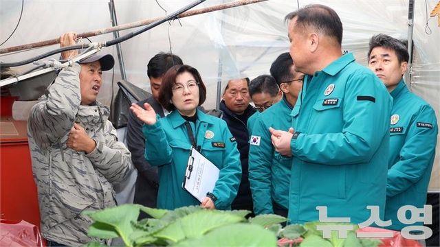 <b>안성시</b>, <b>폭설 피해</b> 심각...‘특별재난지역 지정 절실’