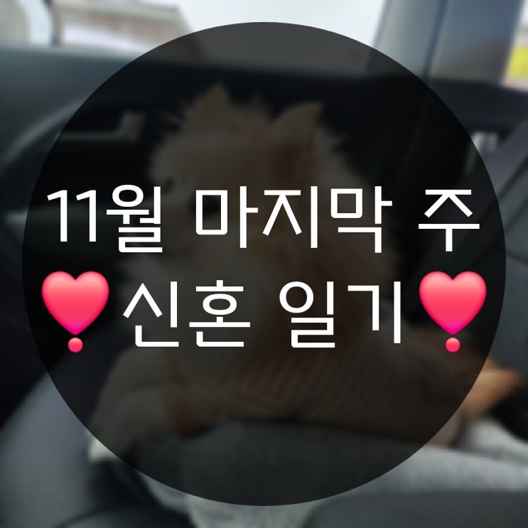  11월 마지막 주의 기록(사직서 퇴사 2024마마빅뱅 집들이)
