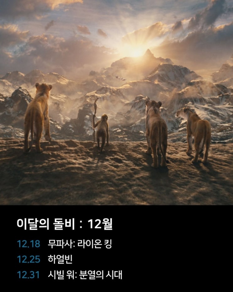  (2024) 이달의 돌비: 12월