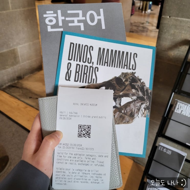  세계에서 가장 큰 화석 컬렉션? 토론토 박물관, 로열 온타리오 박물관 방문기 :)