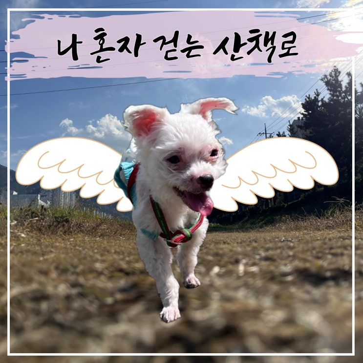  함께 걷던 그 길을, 이제는 나 혼자 걸어요.