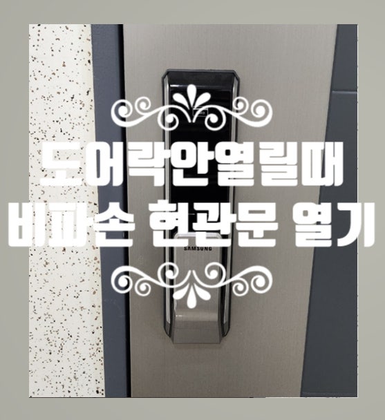  파주 현관문 도어락 안열릴때 문 여는 최선의 방법 동패동열쇠