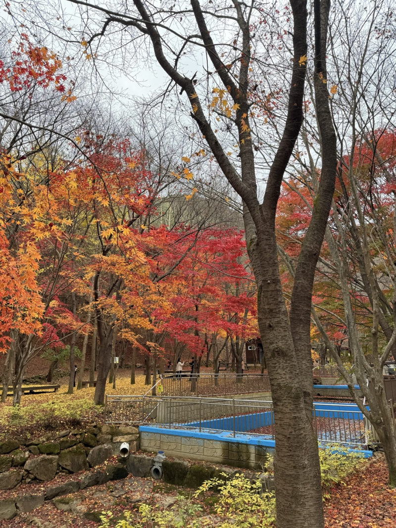 주식투자에서 비관론은 합리적이다. : 네이버 블로그