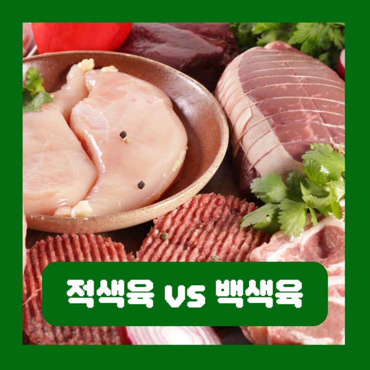  붉은 고기 흰살 생선 육류 적색육 백색육 차이 비교