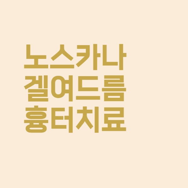  노스카나겔 여드름 흉터 치료 약 연고 사용법과 가격을 알아보았더니