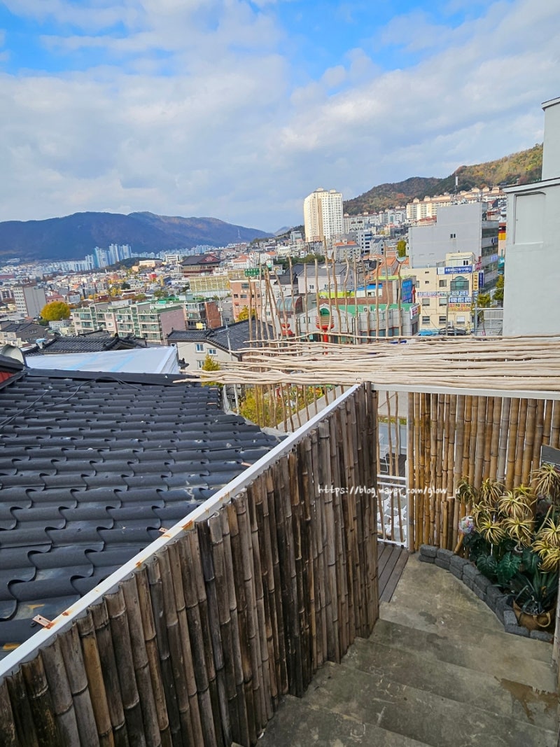사진 6