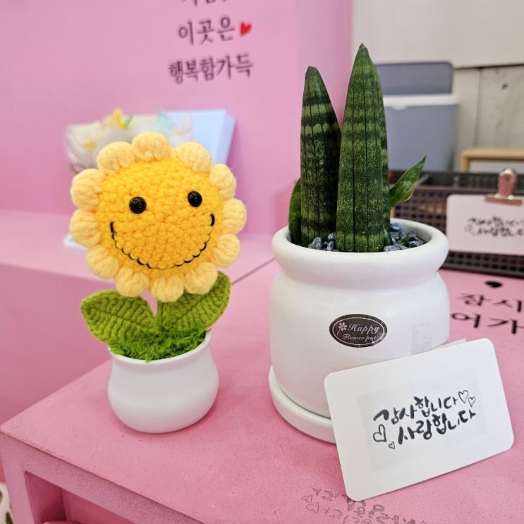  양산무인꽃집 24시 꽃집 금싸빠 양산중부점