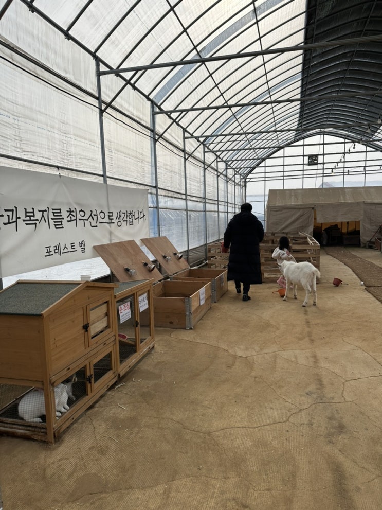  경기도 용인 가볼만한곳 동물체험 포레스트 벨 체험농장