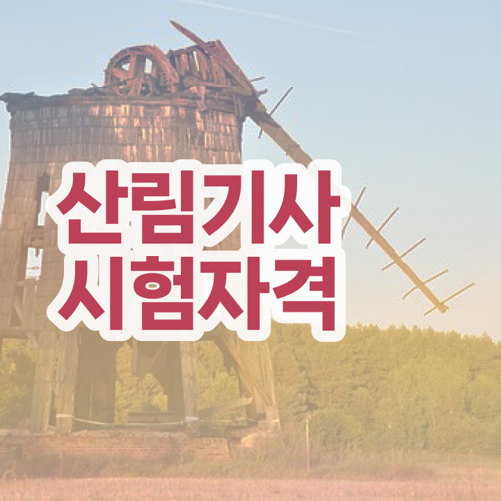  산림기사 후기 , 산림기사 취득자격 인강으로 편하게 성공한 후기