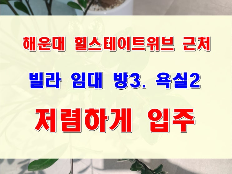  해운대 중동 빌라 월세 원룸 임대 가격 으로 달맞이 방3칸 입주 기회