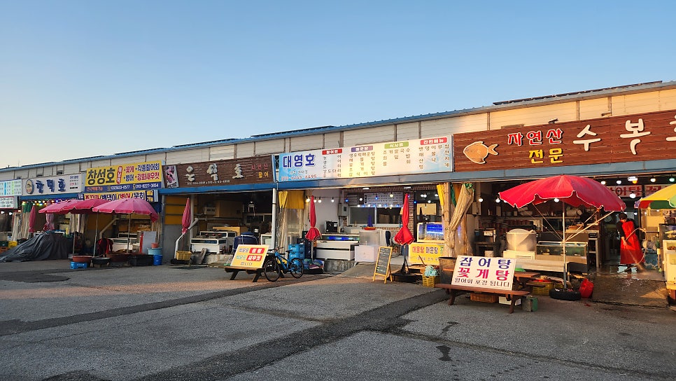 수복호 사진 6