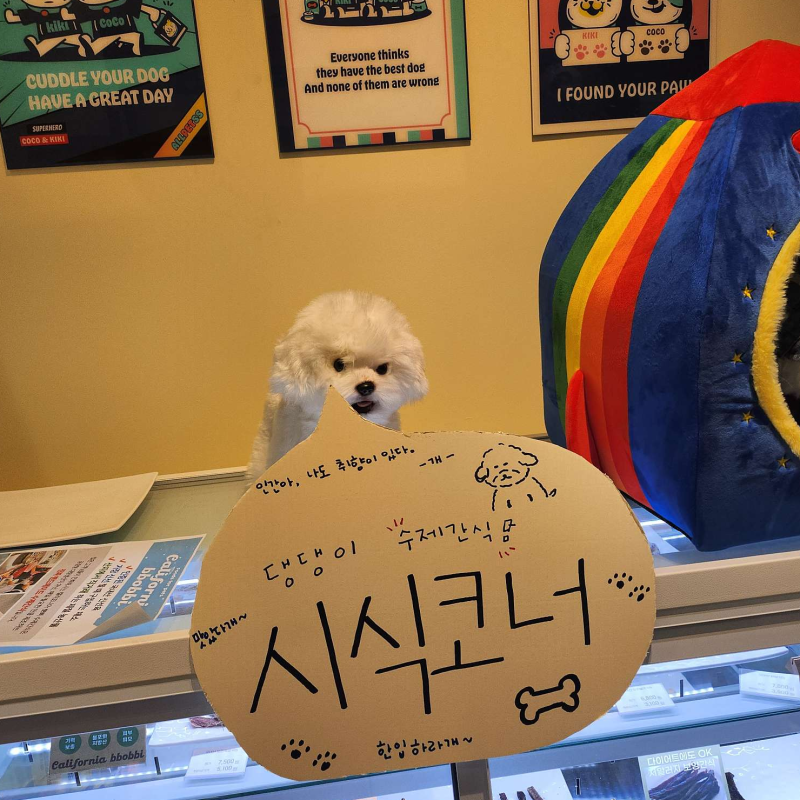 사진 2