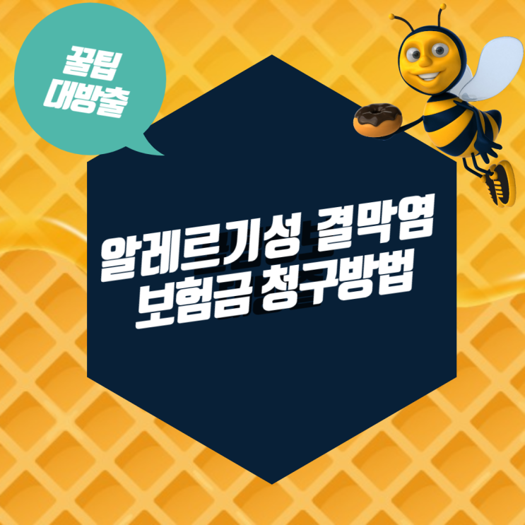 알레르기성 결막염 전염 치료 비용 보험 청구방법