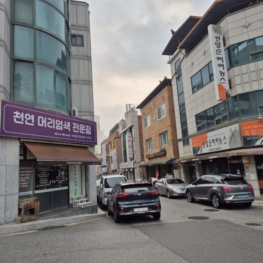 천연머리염색 사진 2