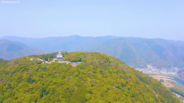  반려견운동지도사 인증 , 인강만 듣고 반려견운동지도사자격증 공부한 방법