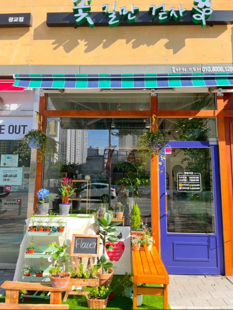 광교꽃집 꽃길만걷자 플라워