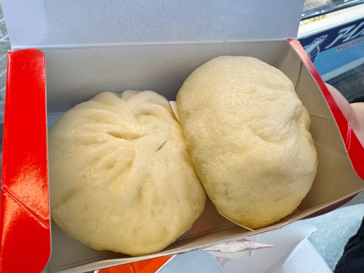  오사카 난바 맛집 먹거리 추천 카니도라쿠 551호라이 와나카 후기