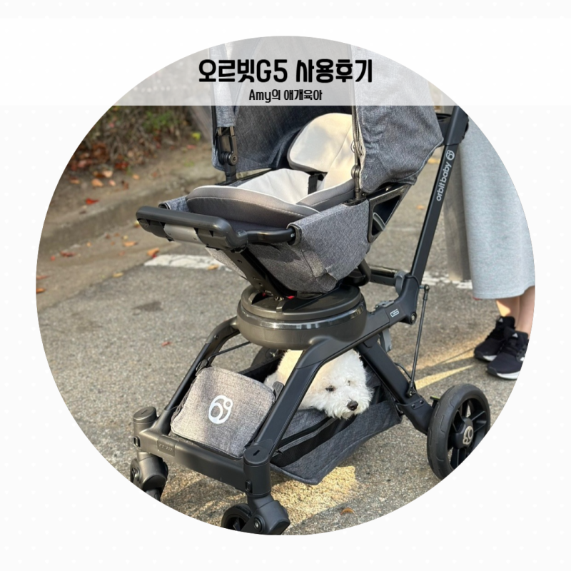 [출산용품/아기용품]디럭스유모차 오르빗G5 구매후기(with. 애개육아)
