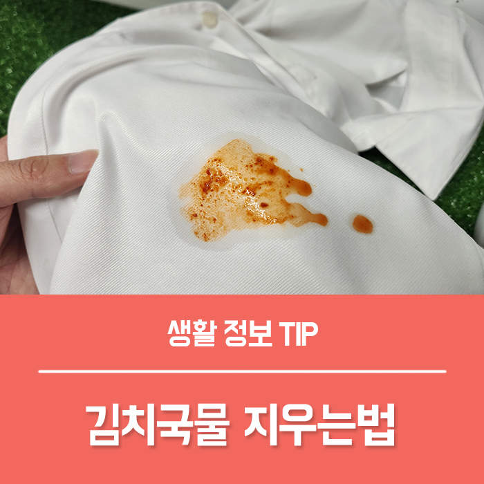  김치국물 지우는법 TOP4, 나만 몰랐나요?