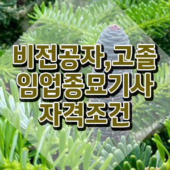  임업종묘기사 응시조건 인강으로 간편하게 끝낸 팁