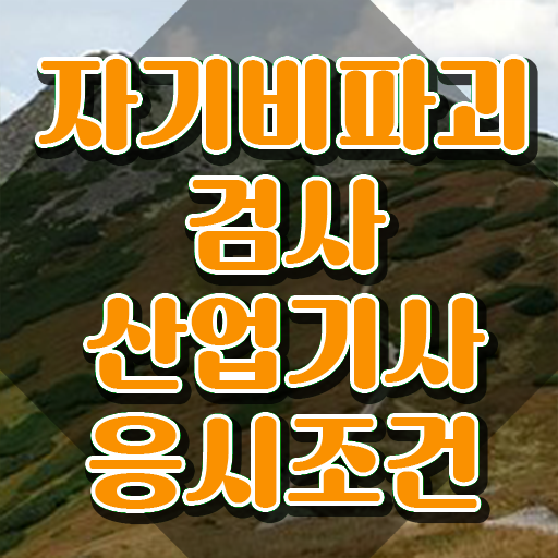  자기비파괴검사산업기사 자격요건 집에서 온라인으로 간단하게 완료한 전략