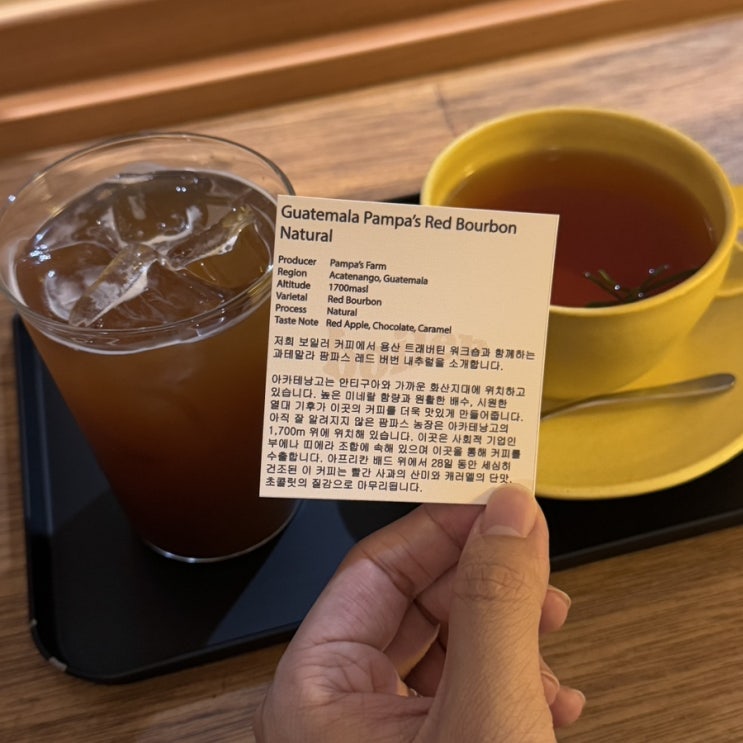  청주 봉명동 신상 카페, 보일러 커피에서 즐긴 저녁 한 잔