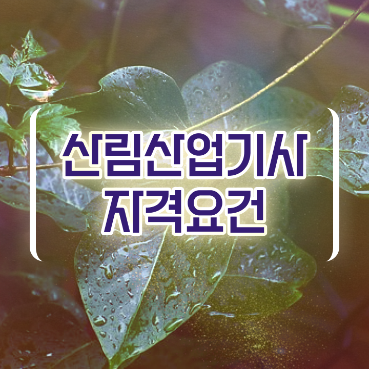  산림산업기사 준비 산림산업기사 자격요건 독학으로 빠르게 준비한 방법