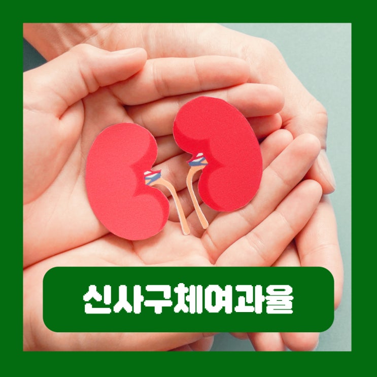  eGFR 정상수치 신사구체여과율 수치 콩팥 신장 건강검진