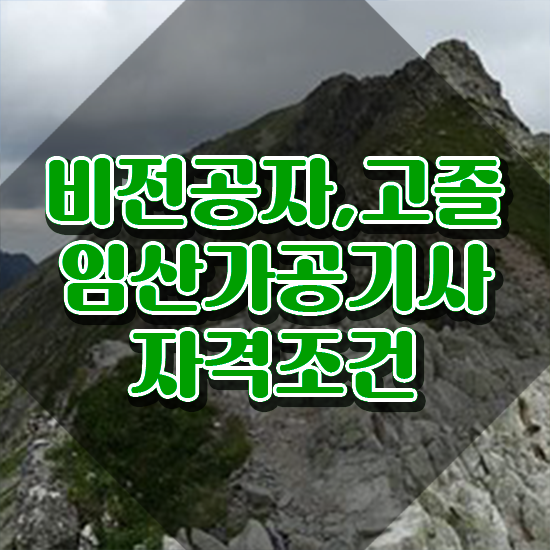  임산가공기사 응시조건 독학으로 간편하게 준비한 노하우