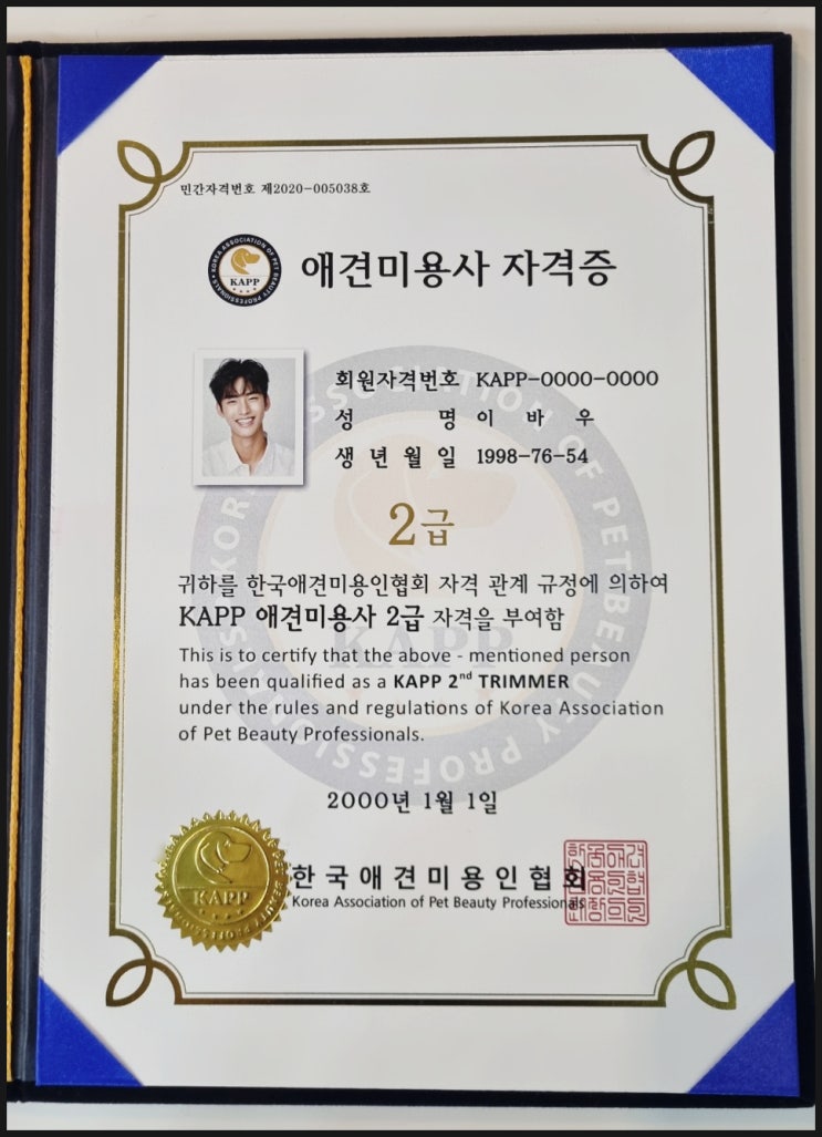  노원 애견미용자격증 최단기 6개월 취득, 취업 준비까지