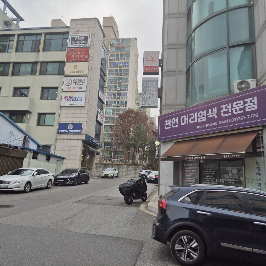 천연머리염색 사진 1