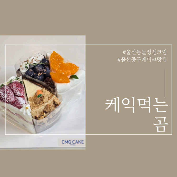  울산 중구 크리스마스케이크 디저트 케익먹는곰